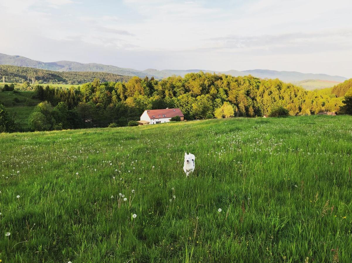 Zapomnienie Villa Nowa Ruda Exteriör bild