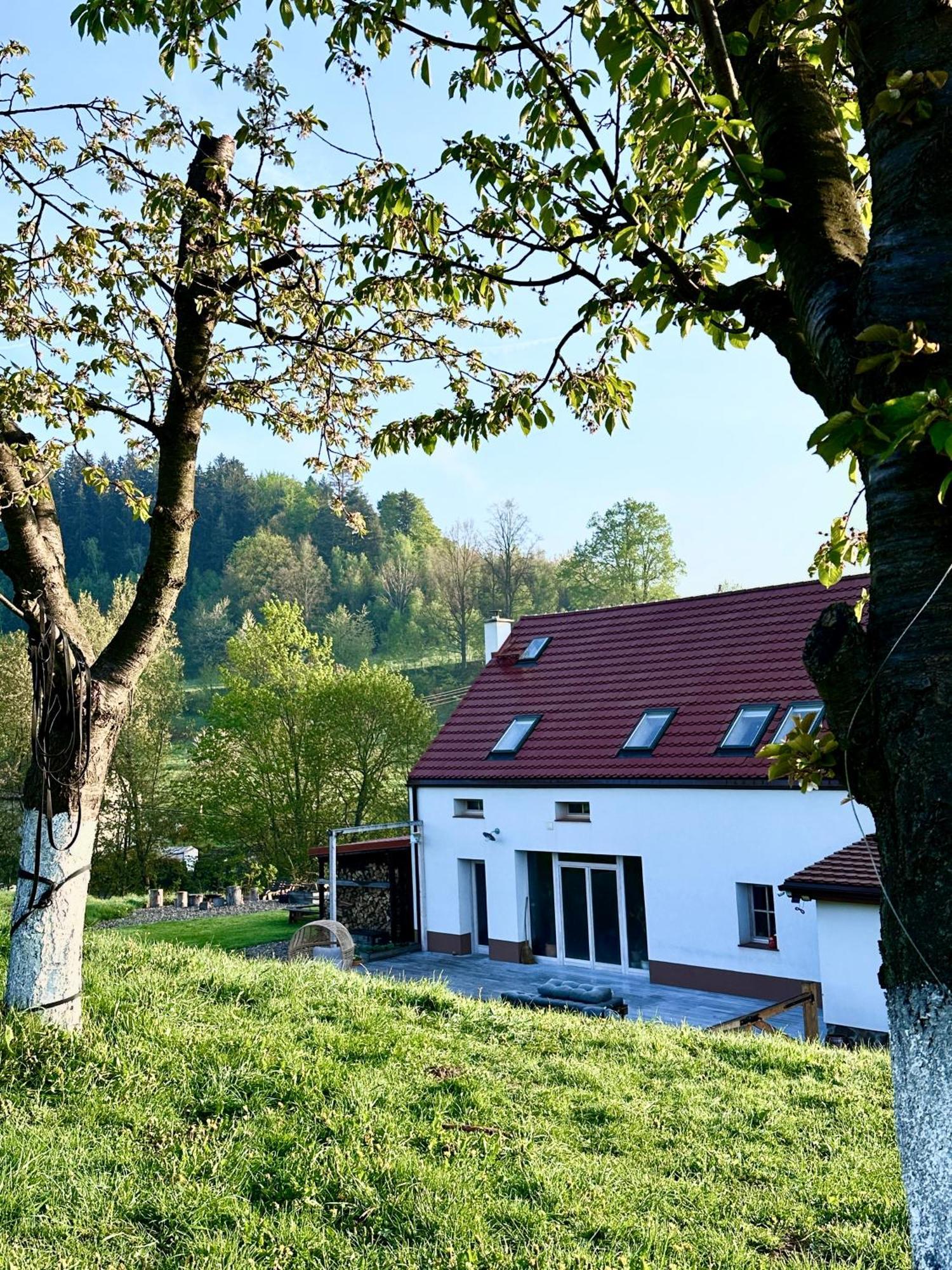 Zapomnienie Villa Nowa Ruda Exteriör bild