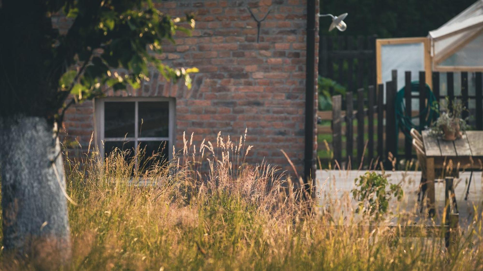 Zapomnienie Villa Nowa Ruda Exteriör bild