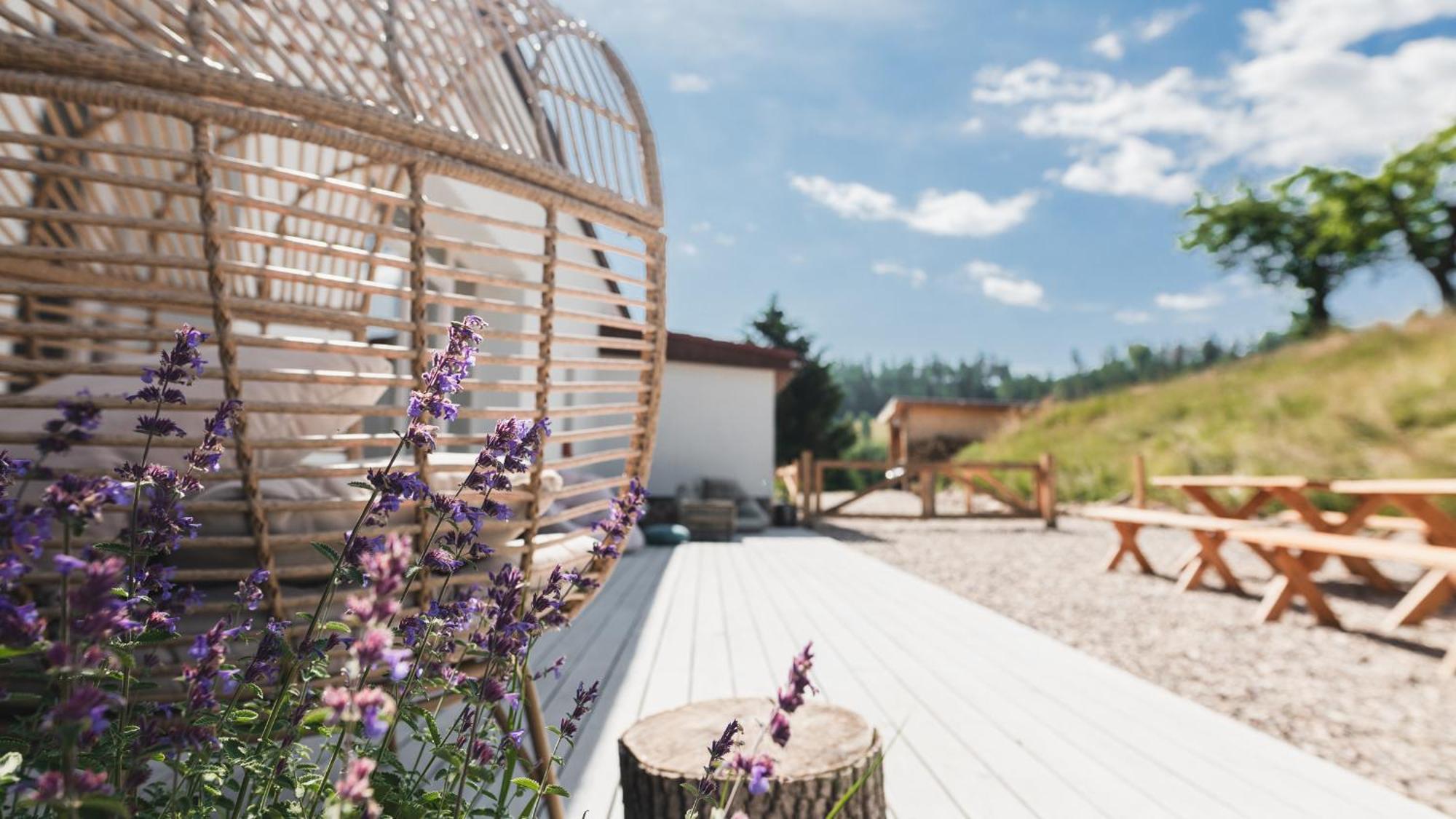 Zapomnienie Villa Nowa Ruda Exteriör bild