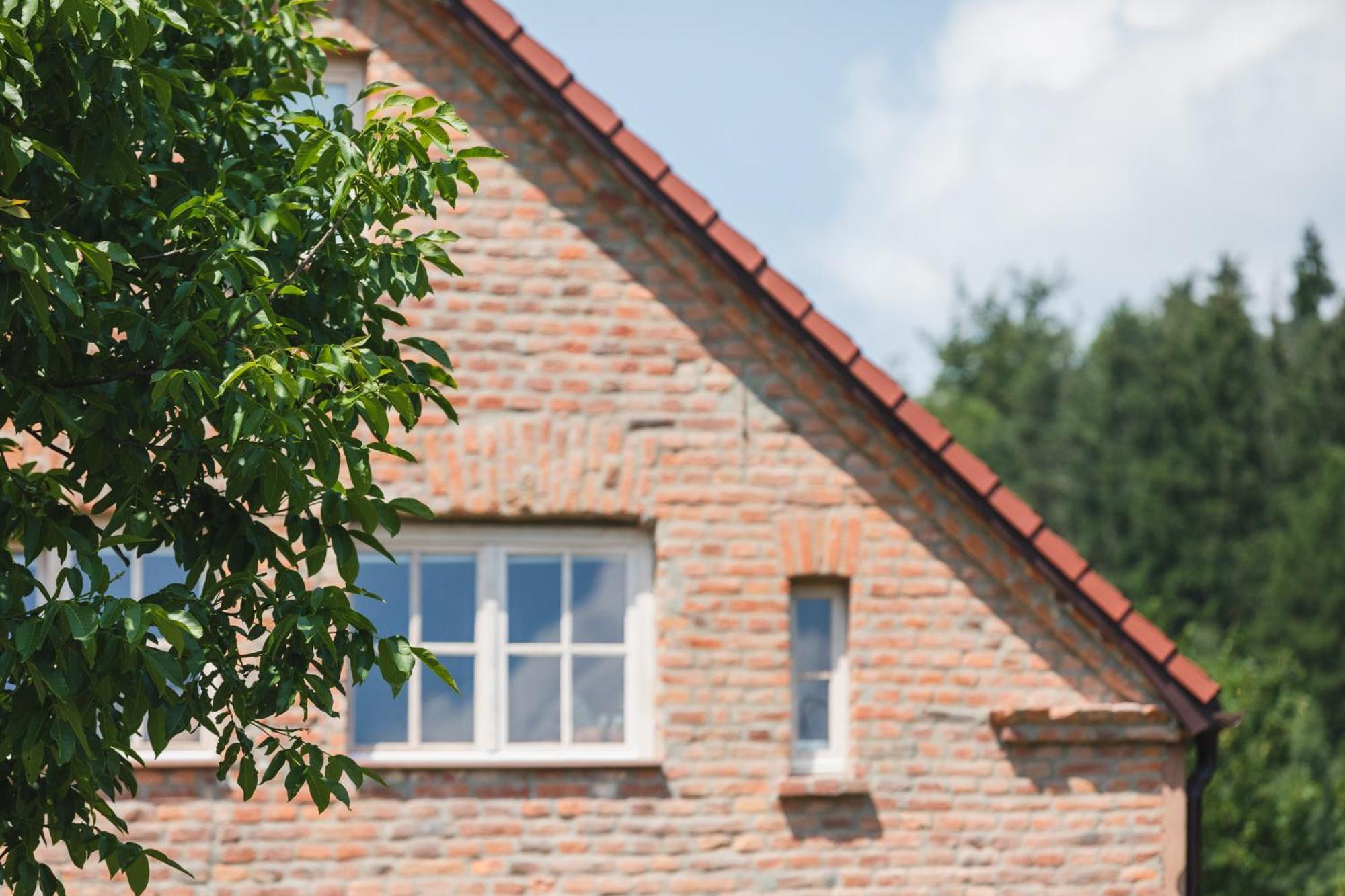 Zapomnienie Villa Nowa Ruda Exteriör bild